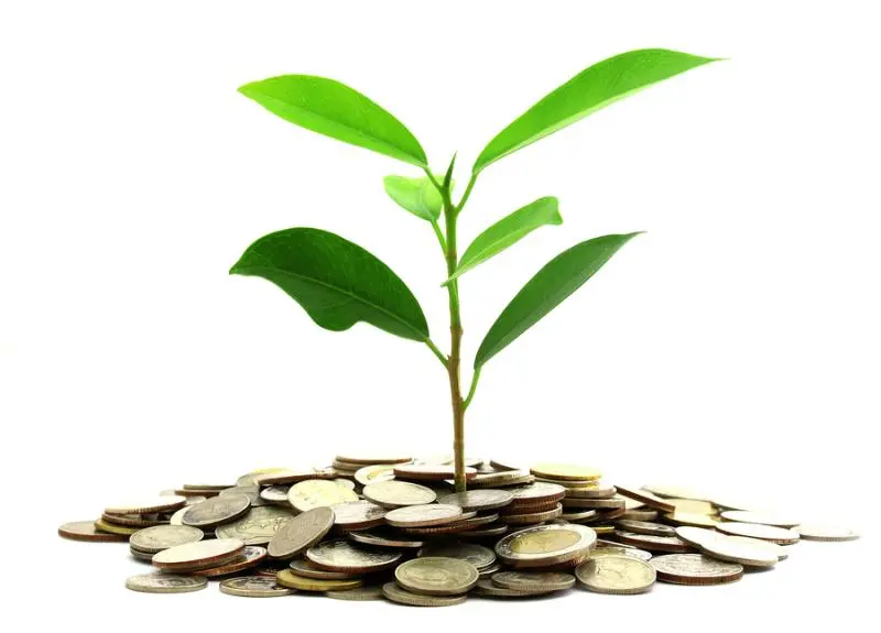 Инвестиции SKF в сохранение экологии | Свежие новости в Курске