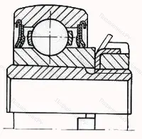 Модификация подшипника 1680204С17 размер 20x52x16/29 от производителя  ГПЗ-8